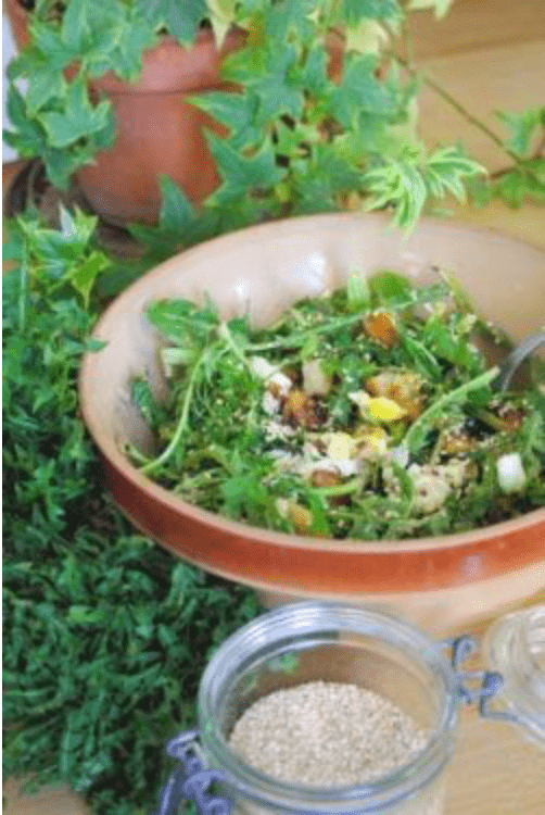 Salade de feuilles de pissenlits aux oeufs pochés et croûtons à l'ail. Salade de feuilles de pissenlits aux oeufs pochés et croûtons à l'ail.