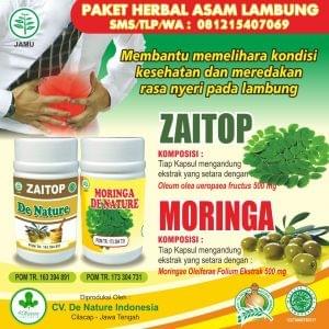 obat maag de nature obat maag de nature