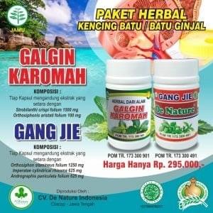 obat batu ginjal de nature obat batu ginjal de nature