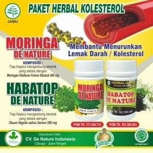 obat kolestrol de nature obat kolestrol de nature