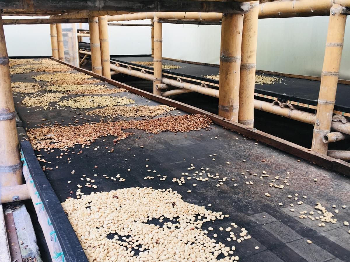 Séchange des grains Séchange des grains
