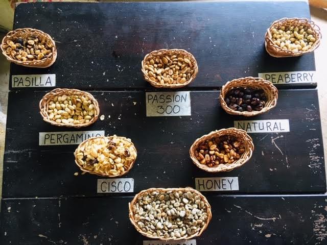 Les différentes qualité de café Les différentes qualité de café
