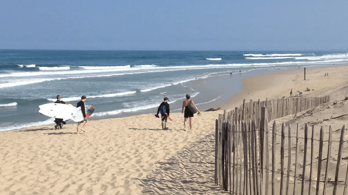 Vous voulez vous essayer au Surf , c'est partit, ;-))) on vous dit tout !!!! Vous voulez vous essayer au Surf , c'est partit, ;-))) on vous dit tout !!!!