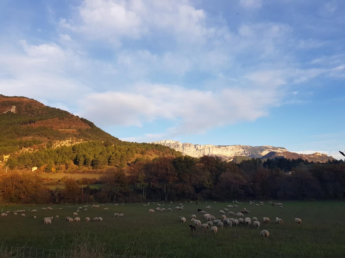 Photo devant les glandasses Photo devant les glandasses