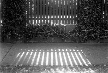 Camera test - Exakta Varex Camera test - Exakta Varex