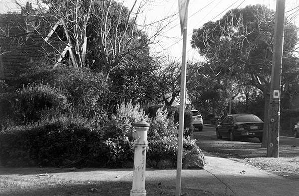Ensign Greyhound camera test Ensign Greyhound camera test