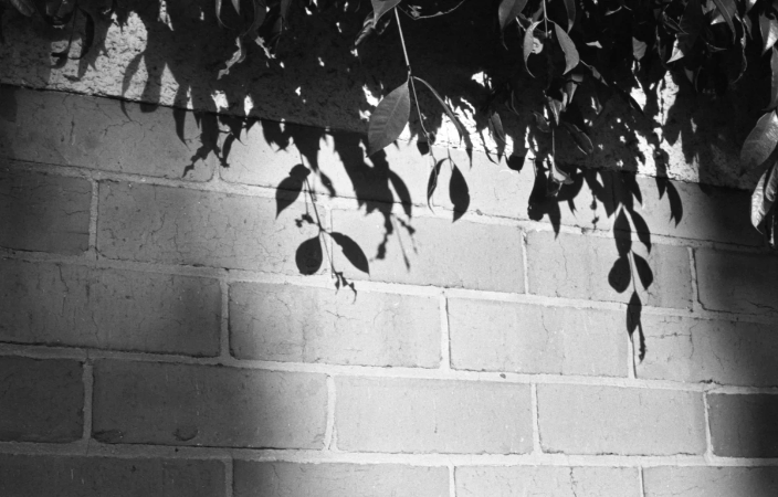 Taken on Zorki-4 camera Taken on Zorki-4 camera