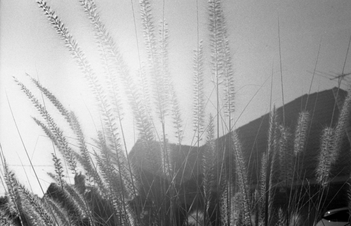 Taken on Zorki-4 camera Taken on Zorki-4 camera