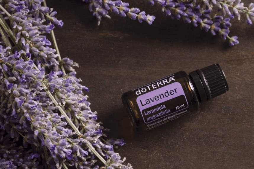Ahhhh..... Lavender! Ahhhh..... Lavender!