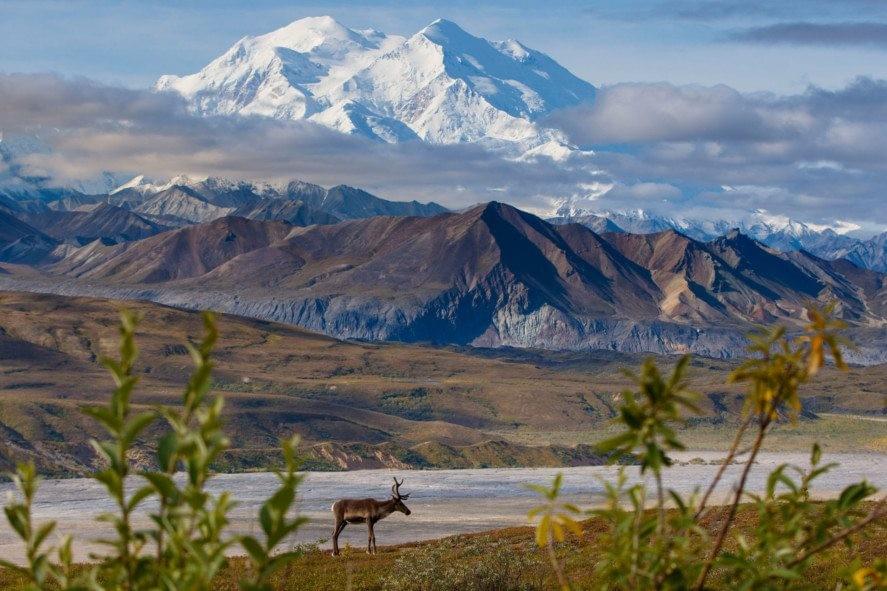Vườn quốc gia & khu bảo tồn Denali, Alaska Vườn quốc gia & khu bảo tồn Denali, Alaska