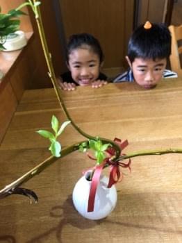 茎から芽が出てきたようです! photo by HM 茎から芽が出てきたようです! photo by HM