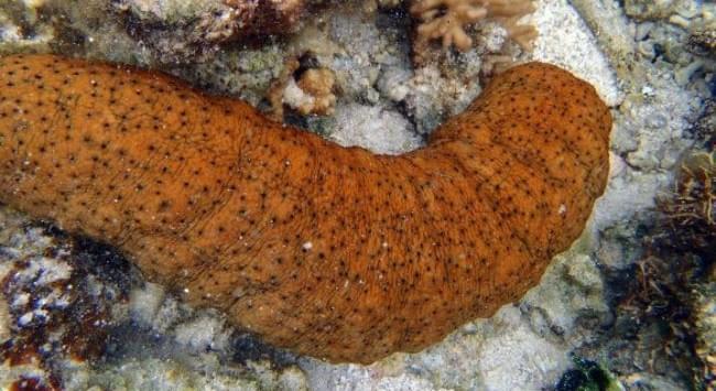 Waspadai Gejala Kanker Tenggorokan Dan Untuk Cara Mengobatinya