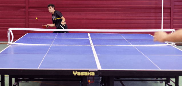 Ultimate Ping - ENVISPORT Ultimate Ping - ENVISPORT