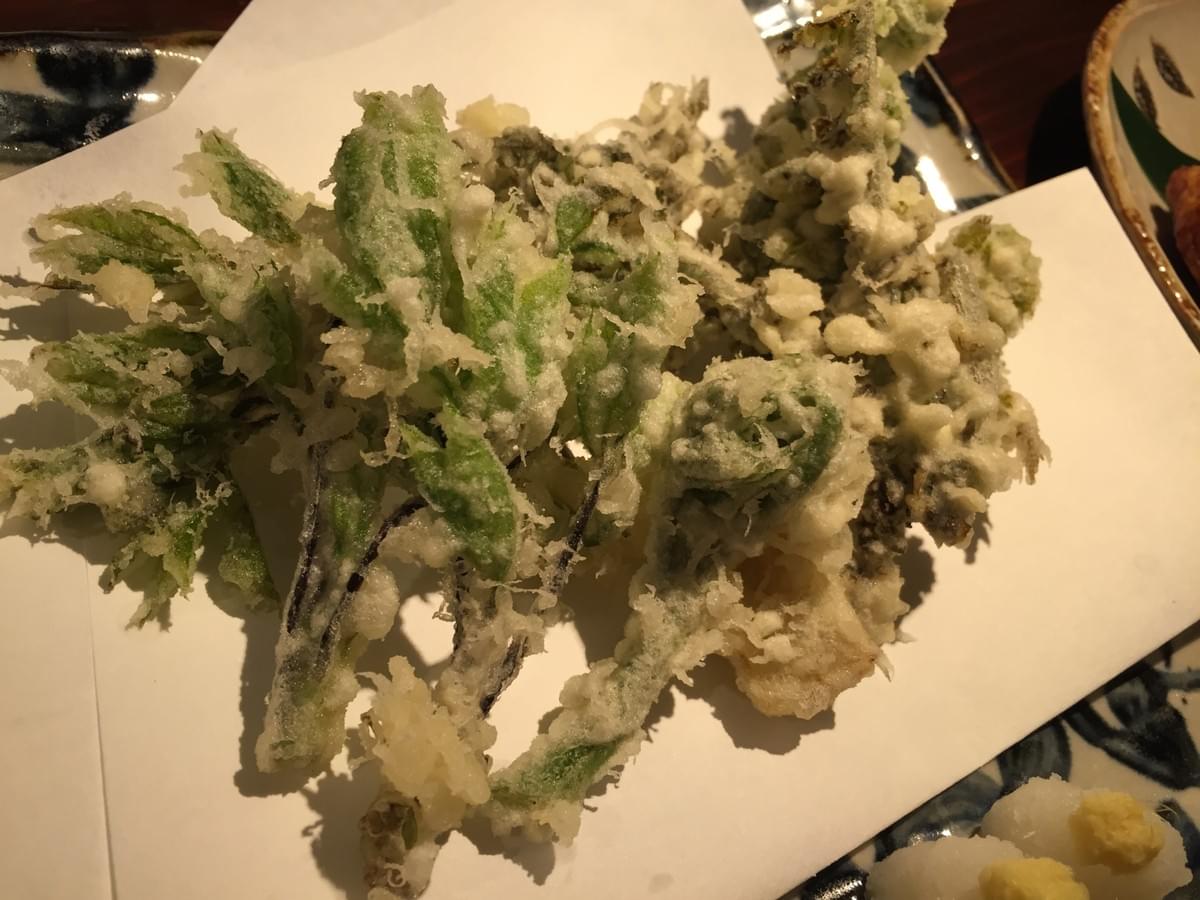 Sansai Tempura (山菜の天ぷら, Mountain vegetable tempura) Sansai Tempura (山菜の天ぷら, Mountain vegetable tempura)