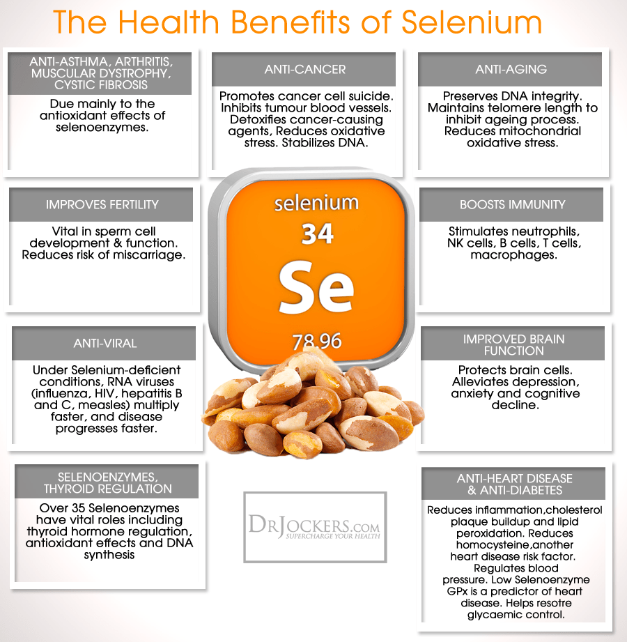 selenium supports your immune system selenium supports your immune system