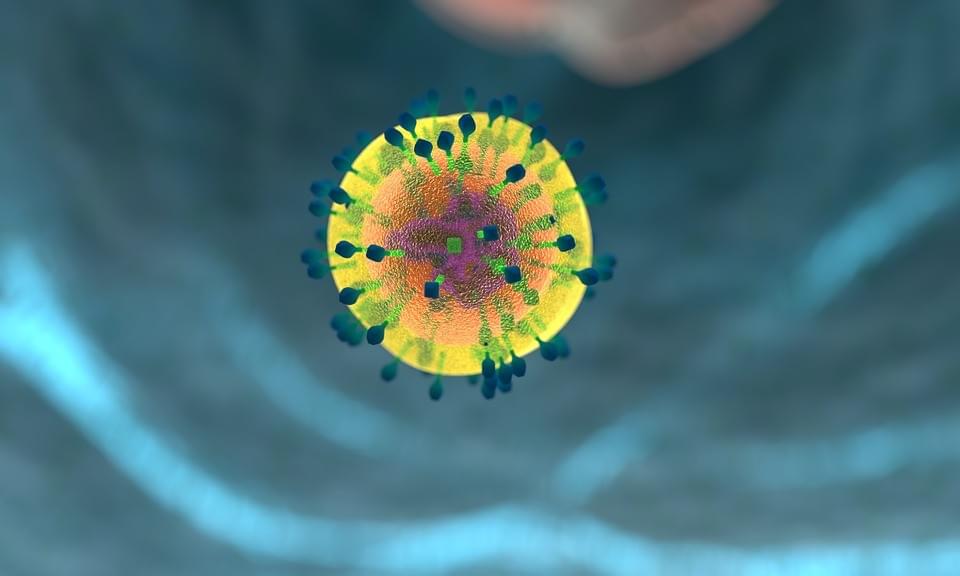 immune system immune system