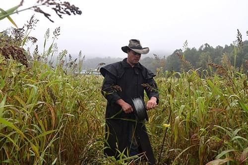 Grass farming and pasture management on Polyface Farm Grass farming and pasture management on Polyface Farm