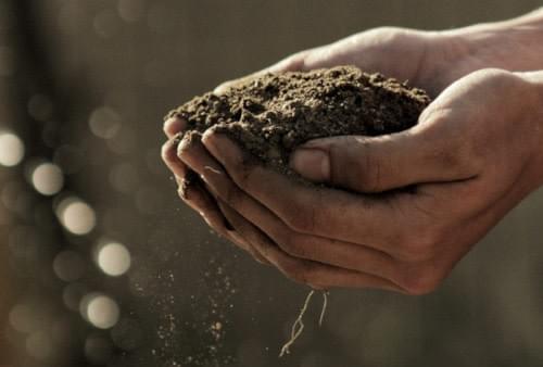Sustainable soil enhancement for humus Sustainable soil enhancement for humus