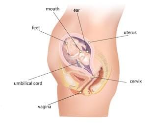 hình ảnh siêu âm thai nhi 22 tuần hình ảnh siêu âm thai nhi 22 tuần