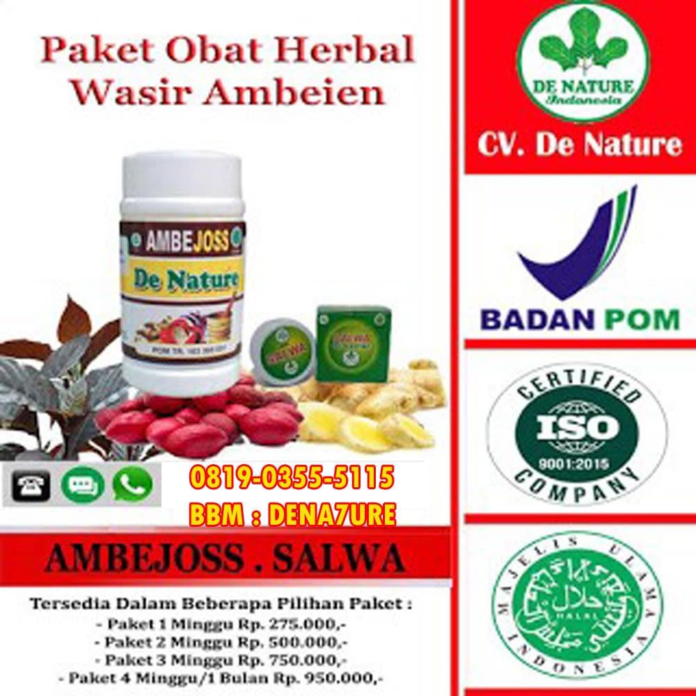 Obat Ampuh Wasir Atau Ambeien Saat Hamil Muda Obat Wasir
