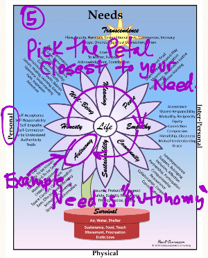 pick the petal closest to your need pick the petal closest to your need