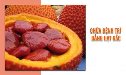 chữa bệnh trĩ bằng hạt gấc chữa bệnh trĩ bằng hạt gấc