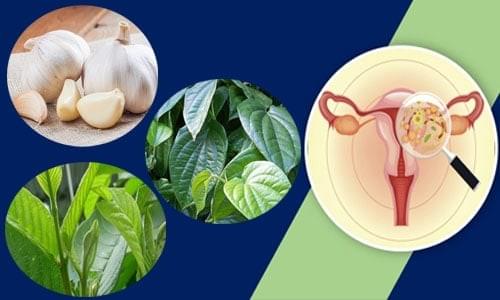 bài thuốc chữa viêm âm đạo từ dân gian bài thuốc chữa viêm âm đạo từ dân gian