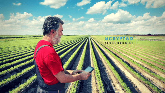 A deep dive into the productivity and profitability of Agriculture software development A deep dive into the productivity and profitability of Agriculture software development