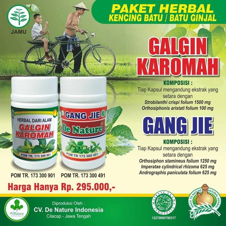 OBAT BATU GINJAL OBAT BATU GINJAL