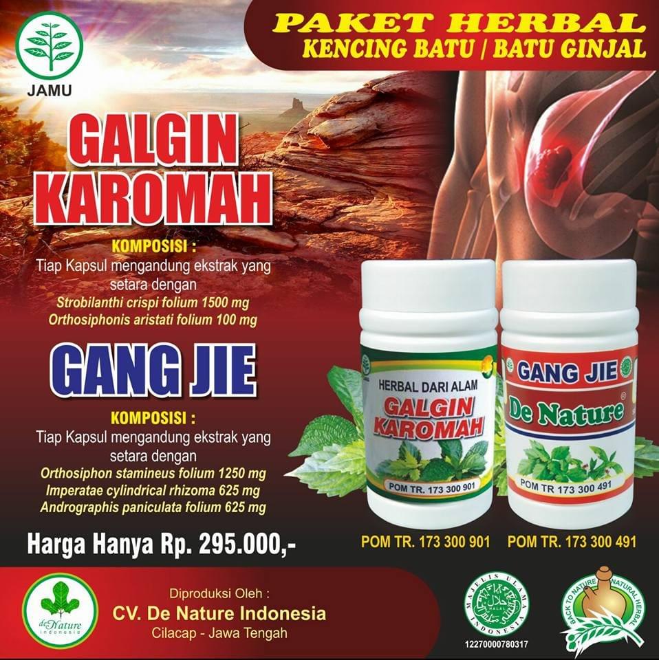obat batu ginjal obat batu ginjal