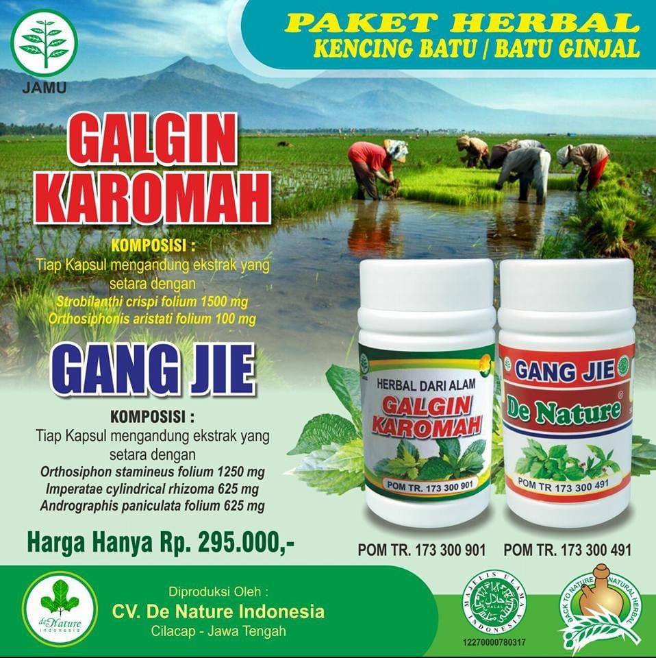 OBAT BATU GINJAL OBAT BATU GINJAL