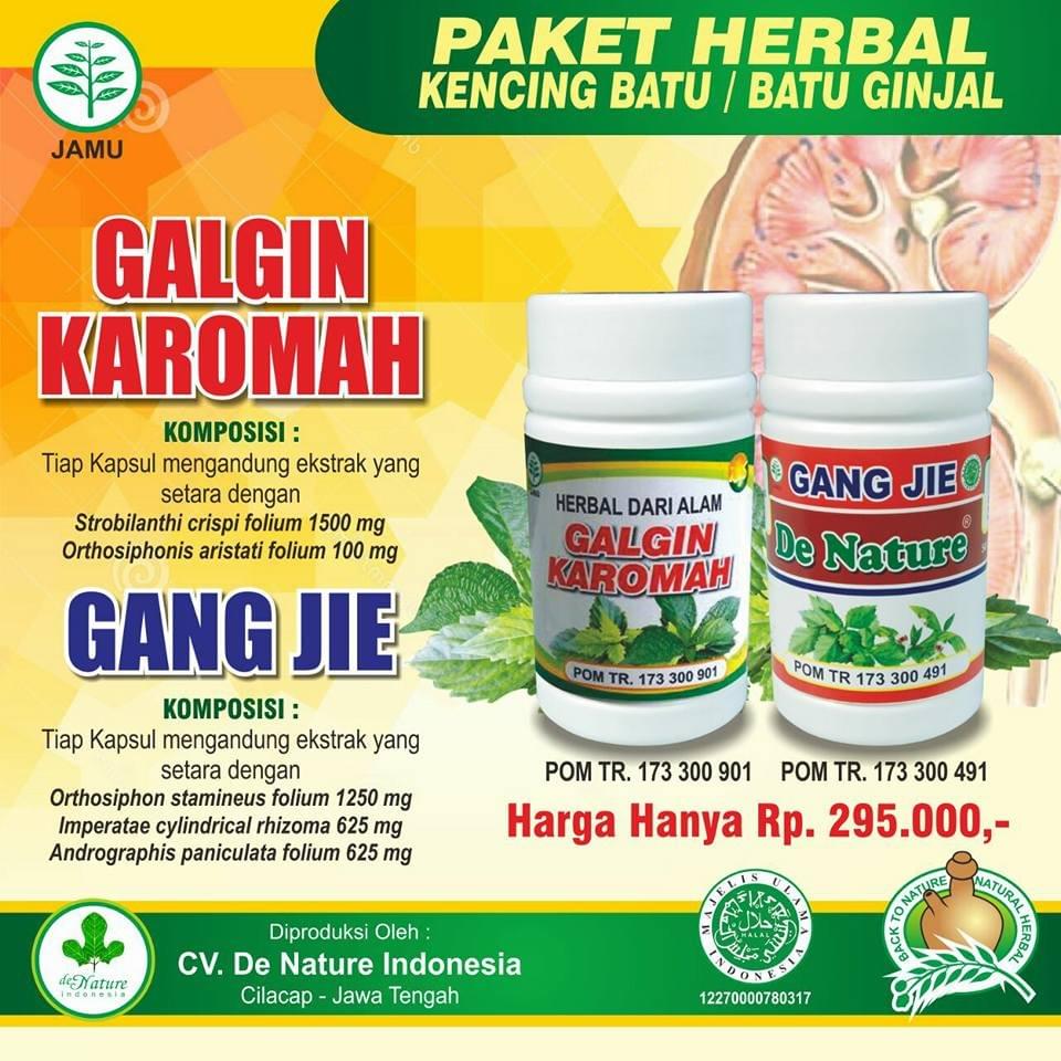 obat batu ginjal obat batu ginjal