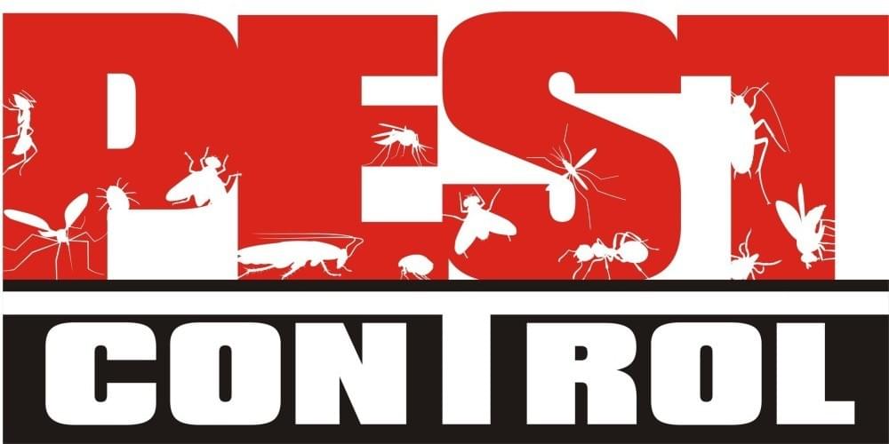 Pest Control in Melbourne Pest Control in Melbourne