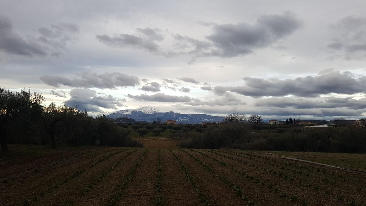 Le bellissime montagne che si vedono da Amavita Le bellissime montagne che si vedono da Amavita