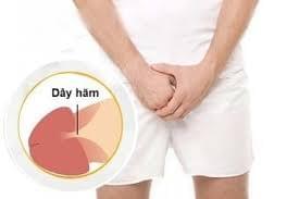 Cắt dây hãm bao quy đầu có sao không Cắt dây hãm bao quy đầu có sao không