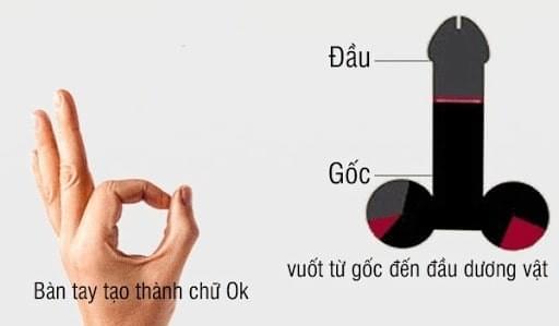 Hình ảnh kích thước dương vật người Việt Nam Hình ảnh kích thước dương vật người Việt Nam