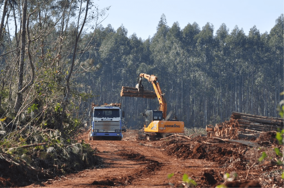 La Harvester en acción: quitando los pinos de Arauco. La Harvester en acción: quitando los pinos de Arauco.