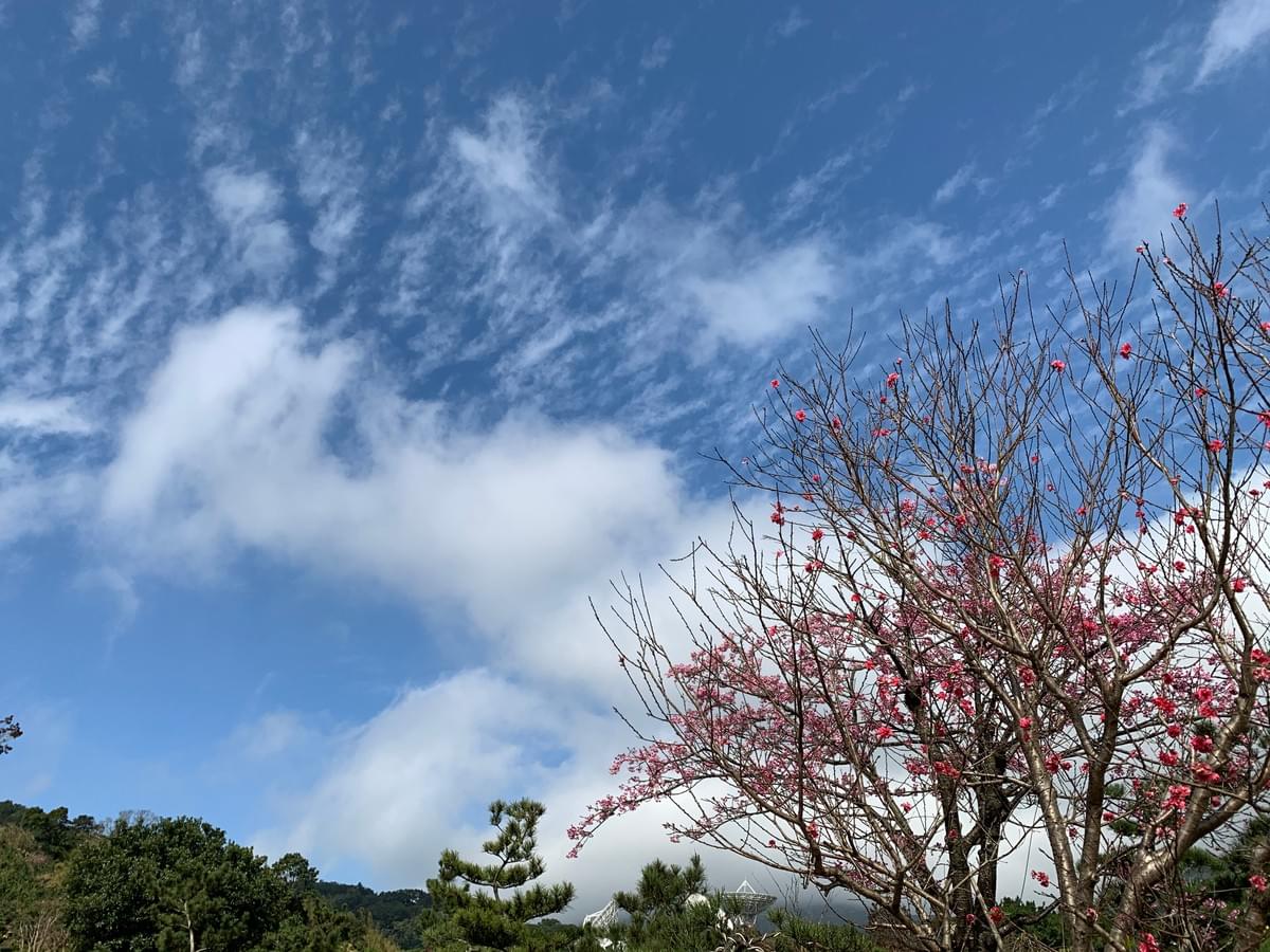 堅忍到底的,終必得救!(圖︱作者提供) 堅忍到底的,終必得救!(圖︱作者提供)