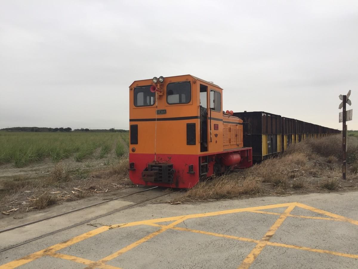 甘蔗列車頭。 甘蔗列車頭。