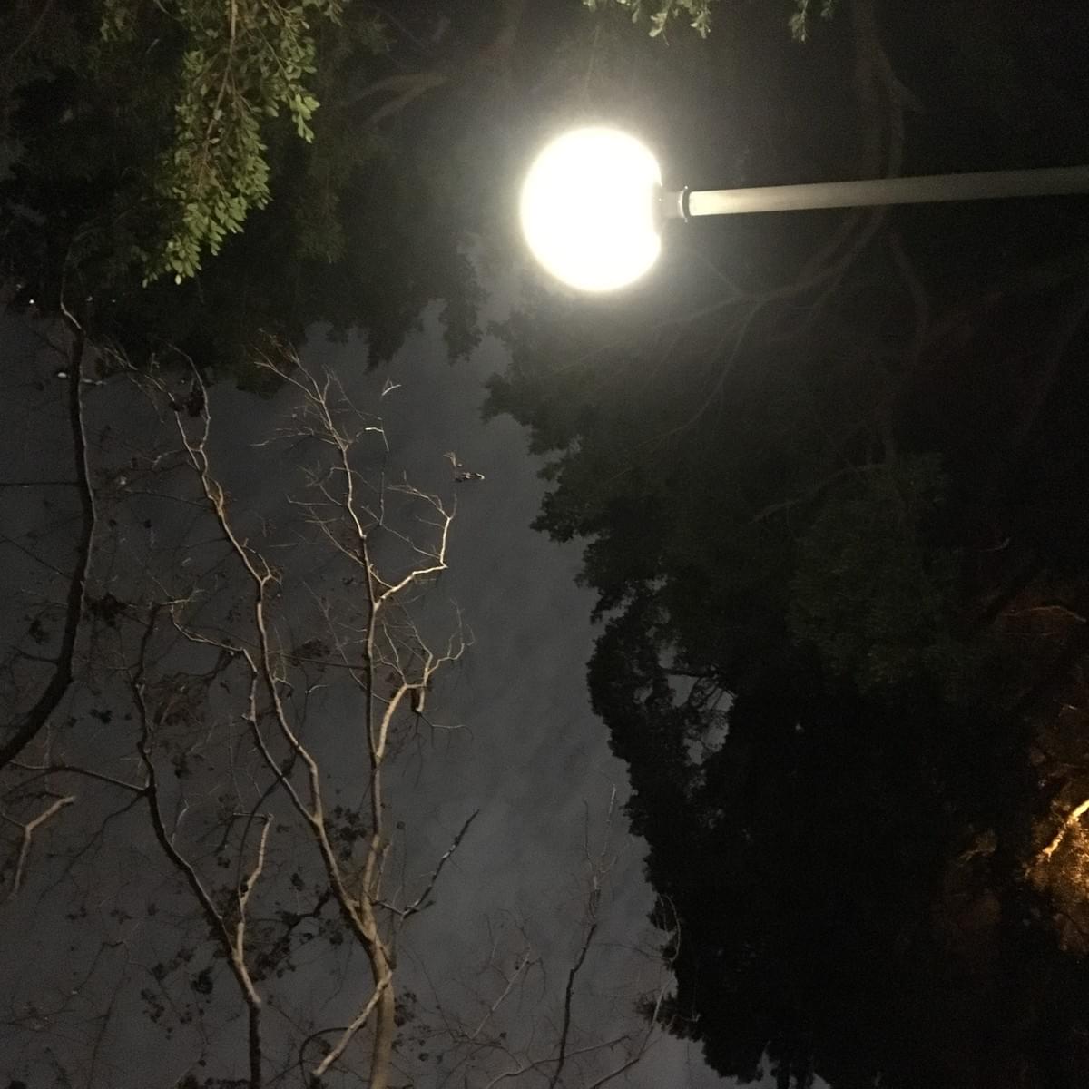 有時候,我們都忘了我們過去在黑暗中摸索許久,但開了燈,我們卻開始互相責備。( 圖片來源:林書弘攝影 ) 有時候,我們都忘了我們過去在黑暗中摸索許久,但開了燈,我們卻開始互相責備。( 圖片來源:林書弘攝影 )