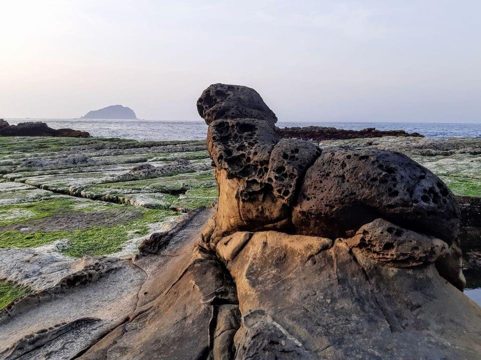 海豹岩。 海豹岩。