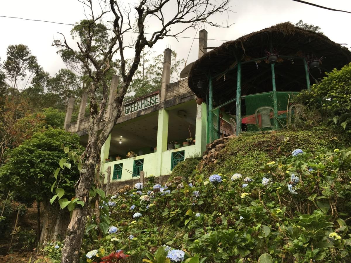 Green house。(照片來源/作者提供) Green house。(照片來源/作者提供)