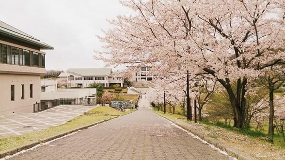 廣島大學。(照片來源/作者提供) 廣島大學。(照片來源/作者提供)