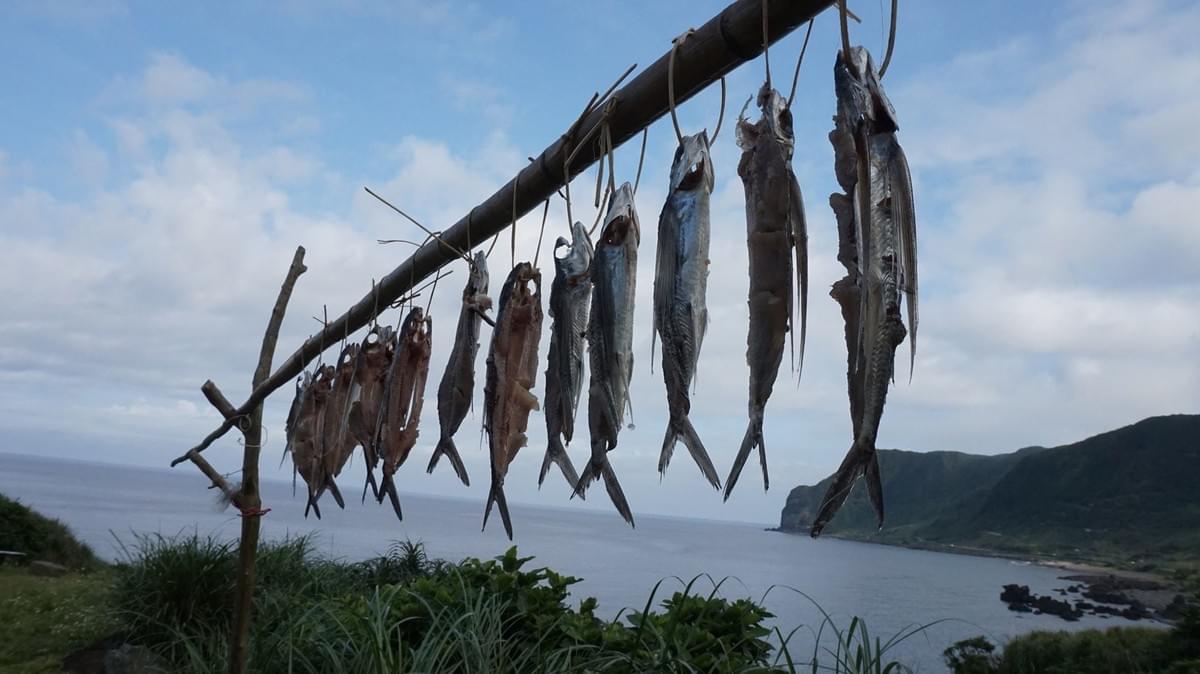 蘭嶼捕魚有生態智慧。(照片來源/作者提供) 蘭嶼捕魚有生態智慧。(照片來源/作者提供)