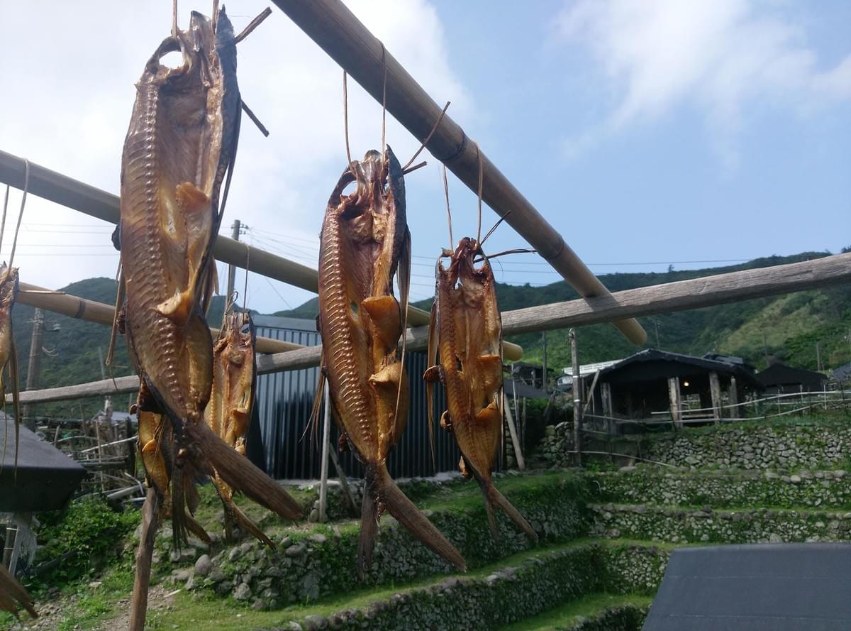 蘭嶼捕魚有生態智慧。(照片來源/作者提供) 蘭嶼捕魚有生態智慧。(照片來源/作者提供)