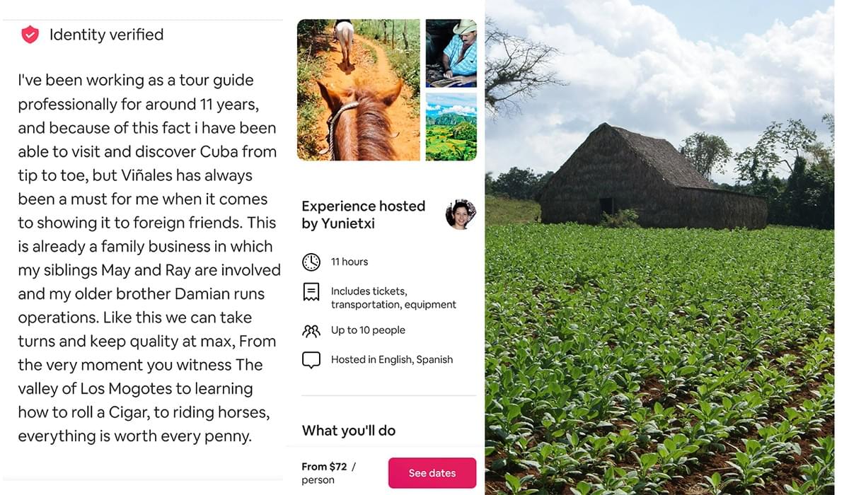 Tobacco fields in Viñales Valley do not use fertilizers others that the natural resources. Tobacco fields in Viñales Valley do not use fertilizers others that the natural resources.