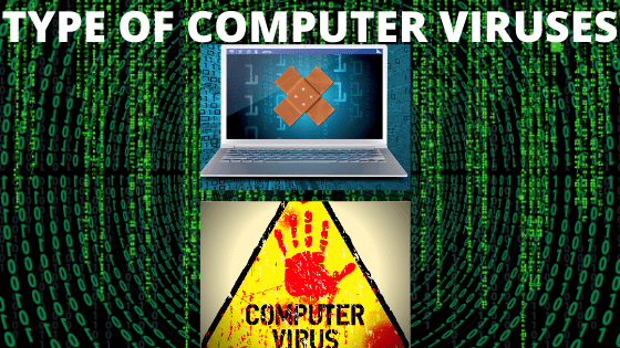 COMPUTER VIRUSES COMPUTER VIRUSES
