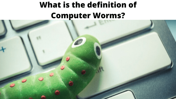 computer worms, What is the definition of Computer Worms? computer worms, What is the definition of Computer Worms?