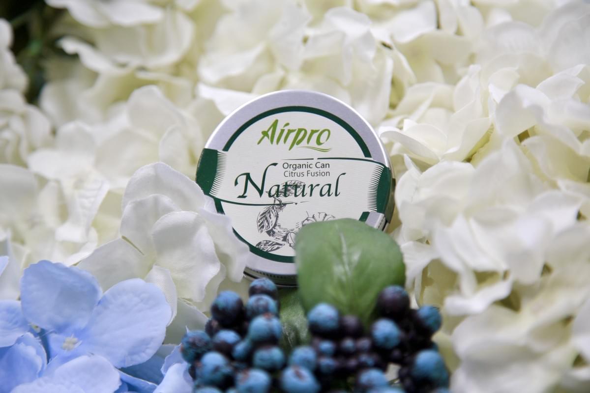 Airpro Car Air Fresheners Airpro Car Air Fresheners