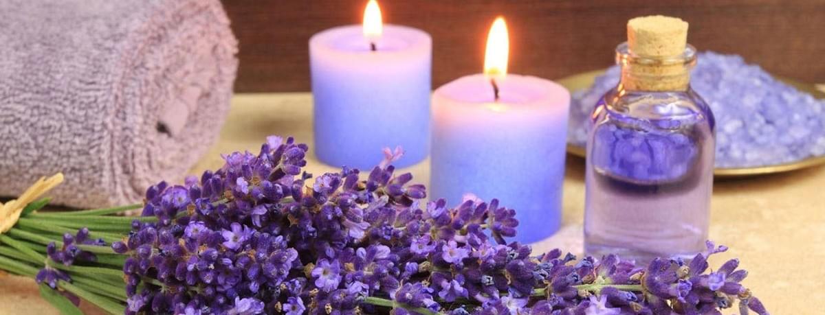 Lavender Lavender
